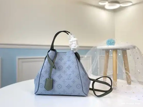 AAA Pruses Bags PM LOUIS VUITTON HINA 0603